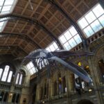 Los mejores museos gratis en Londres